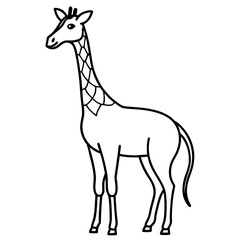 giraffe vector illustration
