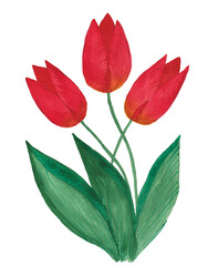 Three red tulips hand painted with watercolors.