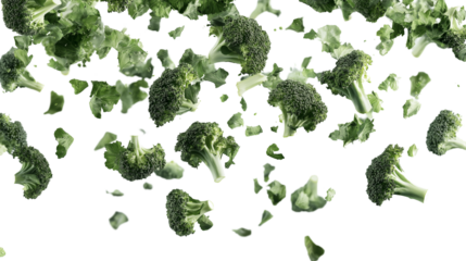 falling broccoli isolated on white or transparent png