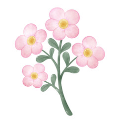 Pastel Floral Watercolor Clipart