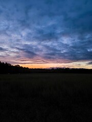 Fototapeta premium Purple sunset over field of trees. Natural background purple sunset over a field