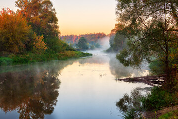 small quiet river among trees in forest in fog early morning. atmospheric summer or spring morning.