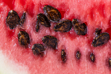 Macro view juicy bright red watermelon with black seeds on a white plate. Close-up