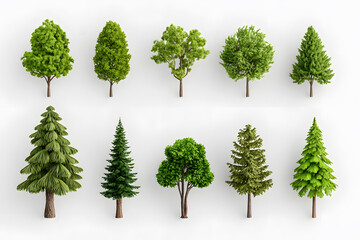 3d realistic green trees collection isolated on white background