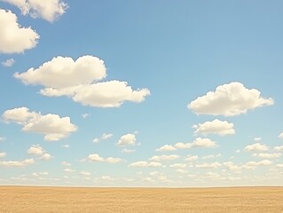 Fototapeta premium Serene golden field under a vast expanse of a light blue cloudy sky