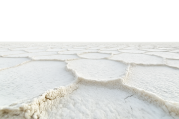 Salt flat’s hexagonal crust patterns isolated on transparent white background