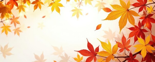 Foliage in autumn with golden leaves on white background, botanical, flowers