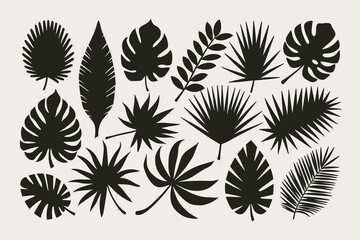 Fototapeta premium Tropical Leaves Silhouettes