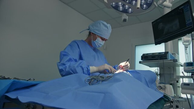 Female veterinary surgeon suturing the wound after dog cancerous tumor removal procedure in an animal hospital operating room, low angle shot.