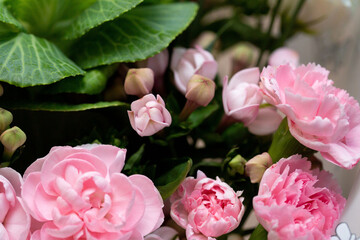 spring bouquet on a beige background
