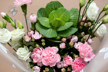 spring bouquet on a beige background