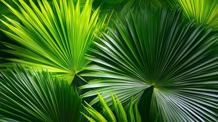 Tropical leaf wallpaper with large palm leaves in shades of green, vibrant and fresh, ultra-detailed, 4k
