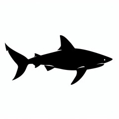 Obraz premium Shark swimming silhouette illustration animal predator.