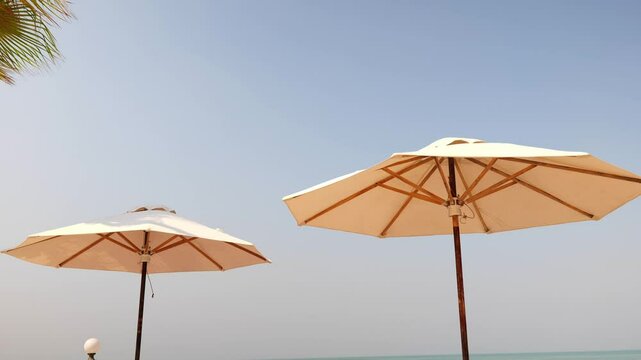 Relaxing Beach Umbrellas provide shade under a Clear Blue Sky for ultimate comfort and joy