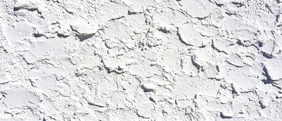 Obraz premium A close-up reveals a textured, gray wall, its surface subtly veined and marked by subtle imperfections, standing against a pristine, white backdrop that emphasizes the wall's unique texture. 