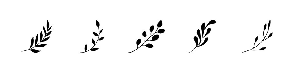 Organic branches icon set. Organic minimalist silhouette summer and spring branches with leaves. Simple flower logo design element. Botanical simple. Plant icon set. Vector illustration.