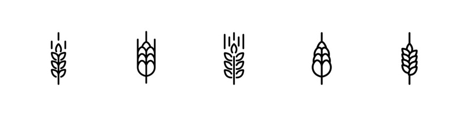 Wheat ear icon set. Grain icon set. Wheat symbol. Vector illustration.