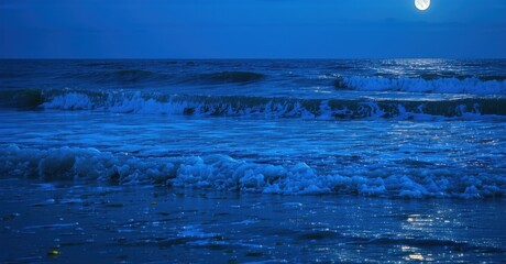 Deep cobalt blue sea silver moonlit sky glowing waves rolling towards shore invisible plastic waste suspended layers of water
