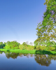 Calm lake with trees in the background