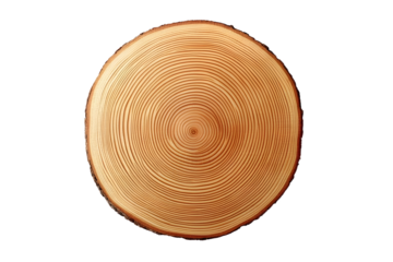 Top view of circular wood piece with annual ring isolated on white background