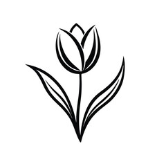 Obraz premium vector illustration of green leaf
