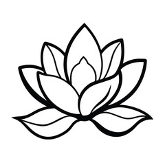 lotus flower vector illustration
