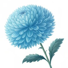 Obraz premium Blue chrysanthemum flower illustration with green leaves, botanical art, elegant design.