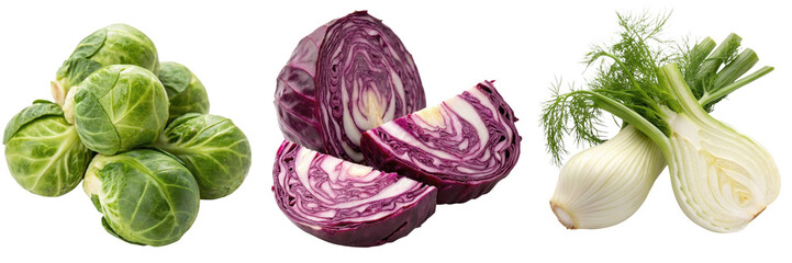 Obraz premium Fresh Brussels sprouts, red cabbage, and fennel on a black background.
