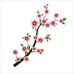 Cherry Blossom Branch Vector Illustration,  Isolated Sakura Tree