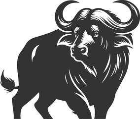 Fototapeta premium Buffalo turning its head sharply alert animal vector silhouette