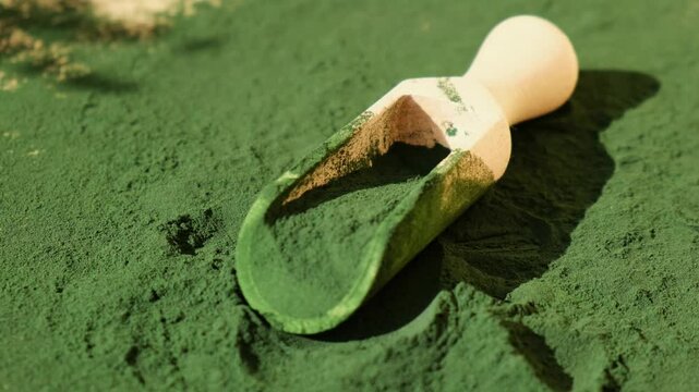 Organic blue-green algae spirulina powder food in wooden spoon. Health benefits of spirulina chlorella. Vitamins and minerals to diet. Detox dietary supplement Seaweed superfood concept