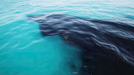 Fototapeta premium Close view of ocean water with thick black oil pollution spreading across the surface
