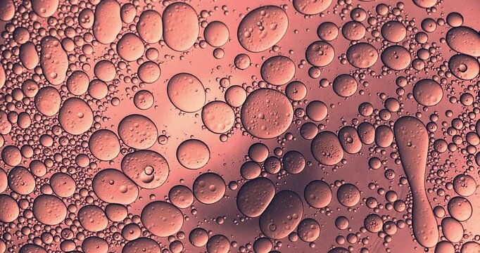 Slow motion macro of floating micro particles molecules in liquid are analyzed with microscope by chemist during innovative new medical research and analysis in scientific pharmaceutical laboratory.