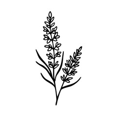 Heather flower icon with intricate details, botanical art concept