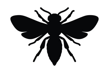 bee on white background