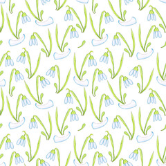 Fototapeta premium Seamless pattern with snowdrop flower hand drawn with colored pencils on a white background