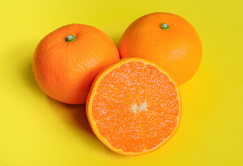 黄色背景で撮影したセトカ