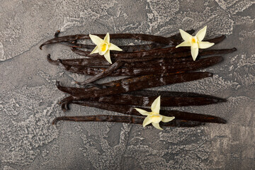 Vanilla pods on a textured background. Vanilla flowers and seeds. vanilla stick bean. Aromatic...