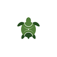 Fototapeta premium Turtle Vector Logo Design