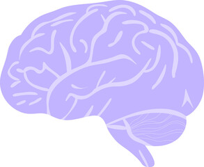 Brain