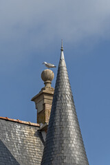 granite house with a turret covered with slate tiles in Perros Guirec, Brittany, France © hectorchristiaen