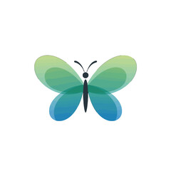 Butterfly Vector Logo Design