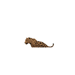 Obraz premium Jaguar Vector Logo Design