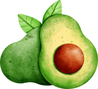 recommend clip art: watercolor avocado