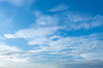 Vibrant Blue Sky with Thin Cirrus Clouds and Palm Trees on Horizon