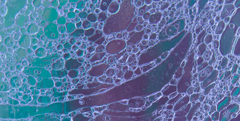 Chromatic Chaos Unleashed: Revel in the Vibrant and Joyful Symphony of Colors in an Abstract Creation