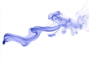 Obraz premium 35 Blue smoke on a white background, the smoke forming the shape of an animal with a long tail, the smoke floating in the air, the smoke a blue color, the smoke floating