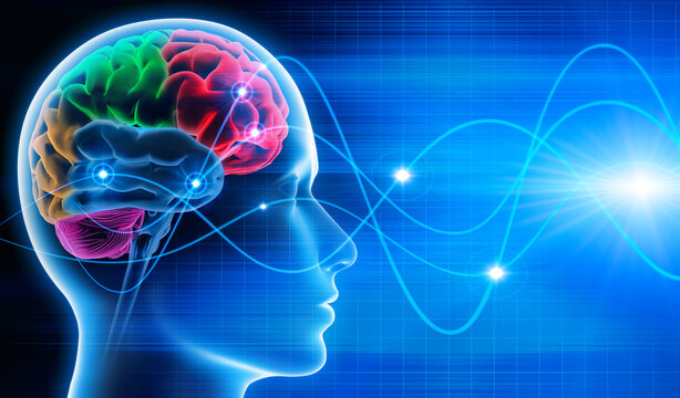 Male head with brain activity - Brain waves - X ray 3D illustration