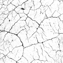 Organic cracked pattern with thin and thick fractures on white surface