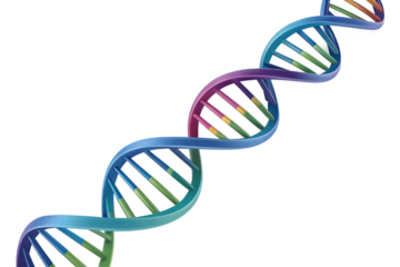 Vibrant 3D DNA model with colorful strands